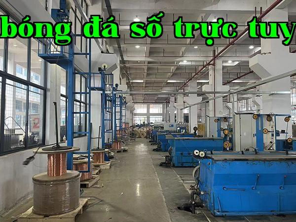 Sợi thủy tinh