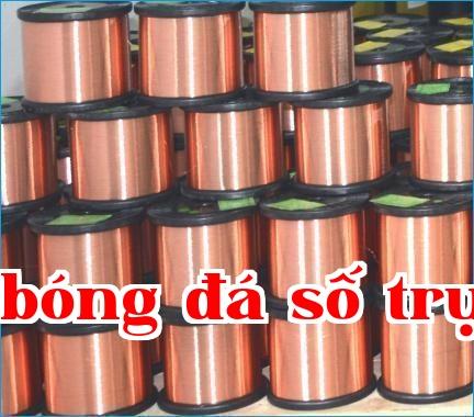 Dây đồng bọc nhôm trần CCA