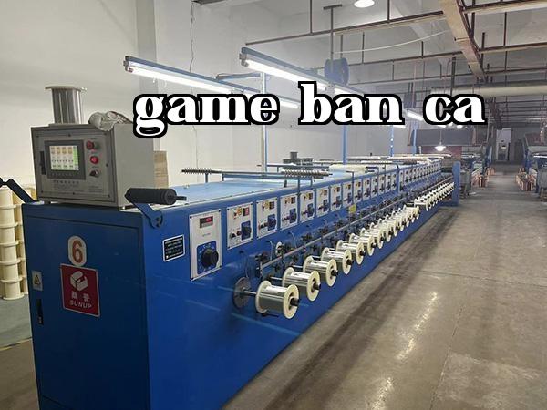 Tẩy lớp phủ